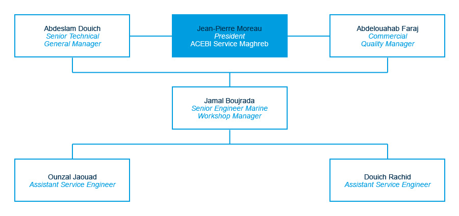 acebi service maghreb organization chart